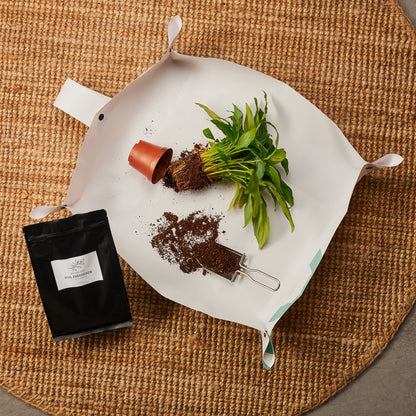 Nutrient-Rich Organic Soil Freshener