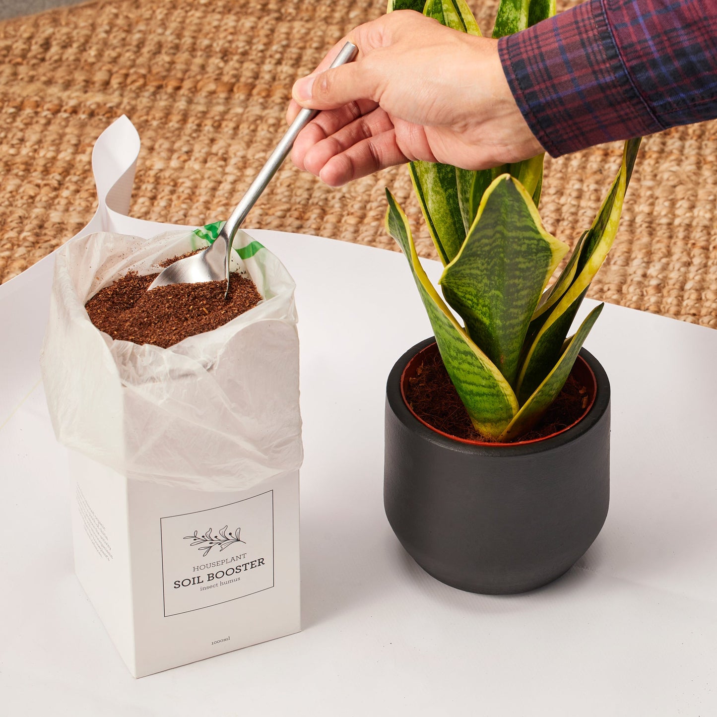 Organic House Plant Soil Booster