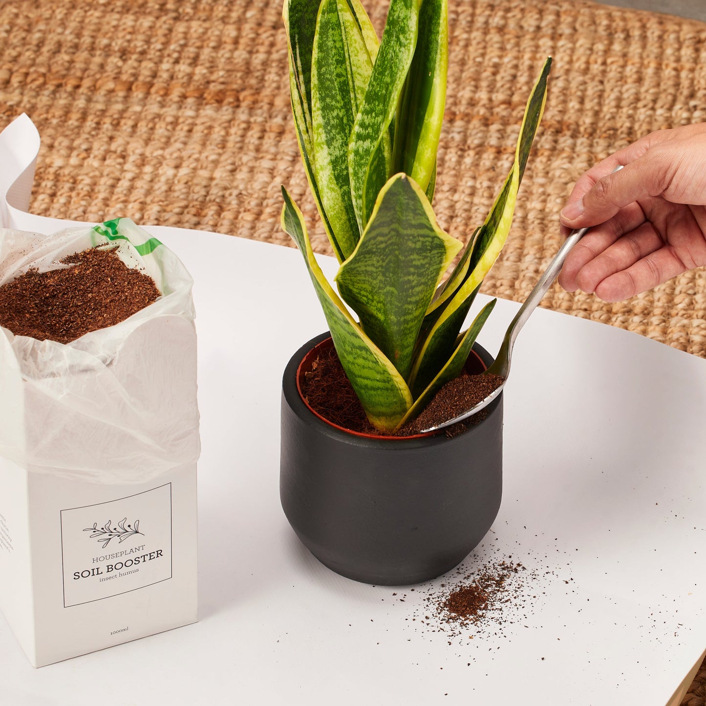 Organic House Plant Soil Booster