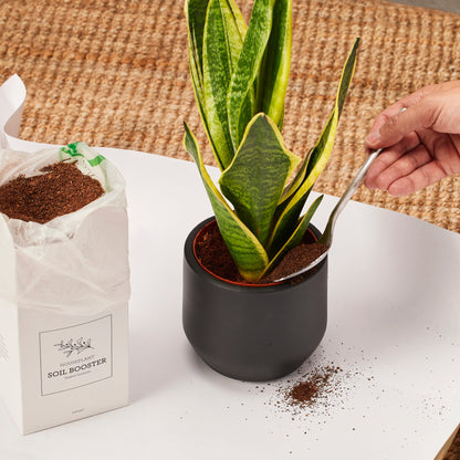 Organic House Plant Soil Booster